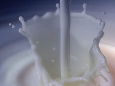 Κάμψη παραγωγής και τιμών στο αγελαδινό γάλα το 2009